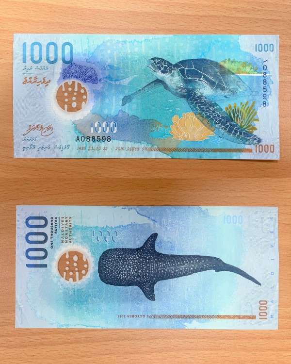 馬爾地夫貨幣1000元馬爾地夫阿丹旅遊
